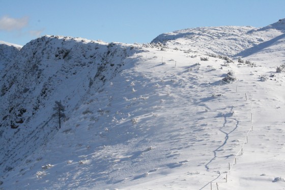 Crête de Maletaule vers le Soum de Male-Taule (1540m)