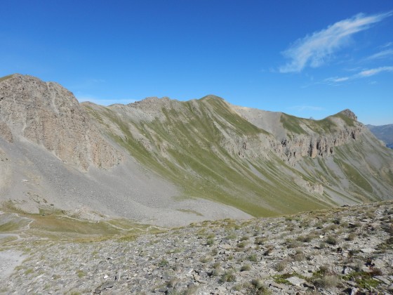 Crête de rasis