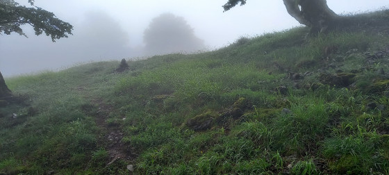Crête du Bois de Mont de Saqueton