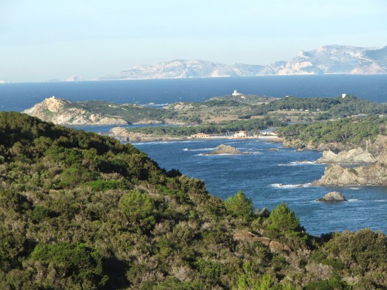 Crête du Cap Sicié