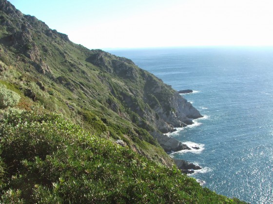 Crête du Cap Sicié
