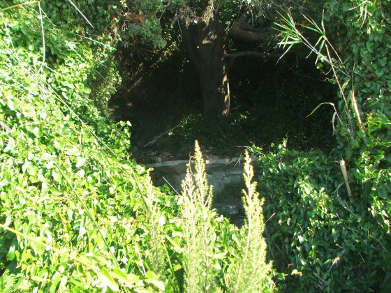 Crête du Cap Sicié