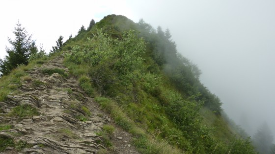Crête entre la Croix de Périllet et la Croix de la Belle Etoile (sommet).