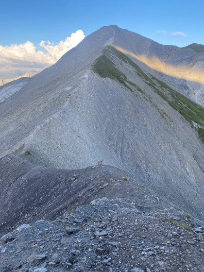 cr&ecirc;tes au col du Doran
