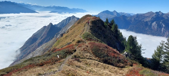 Crêtes de la Dent de Cons