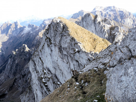 Crêtes de la Pointe d\'Oche