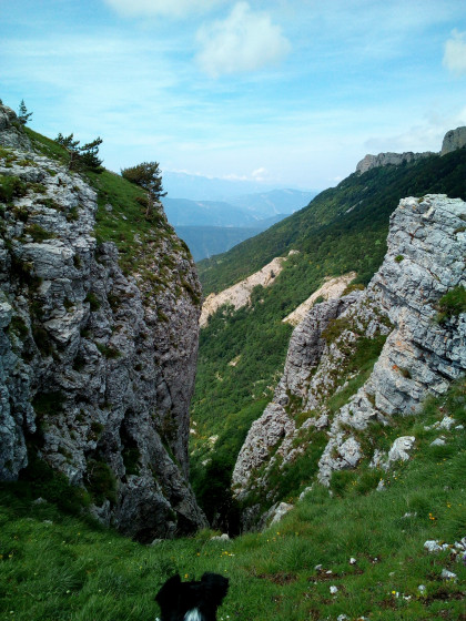 Crevasse