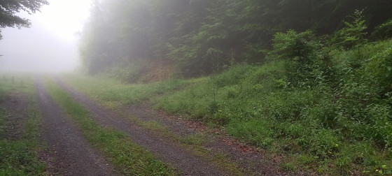 Croisée des chemins