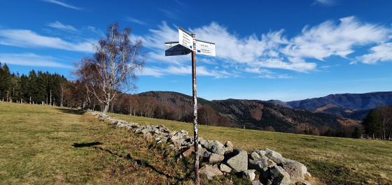 Croisée des chemins