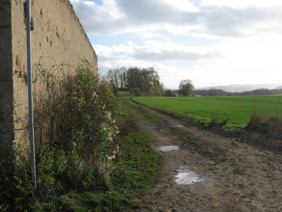 Croisement à la ferme Saint-Georges