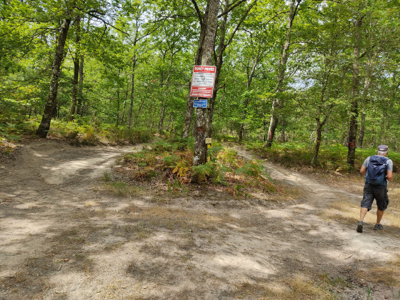 Croisement dans le bois de Giroussens point n°9
