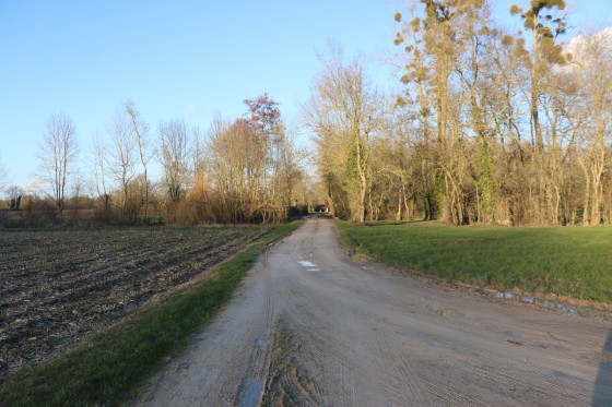 Croisement
