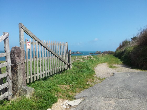 Croisement du GR et de la D202