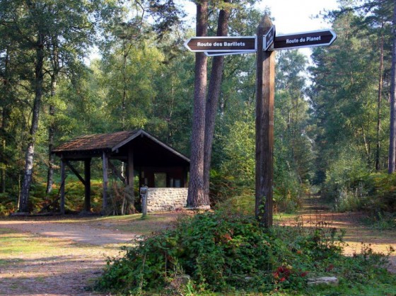 Croix du haut Planet