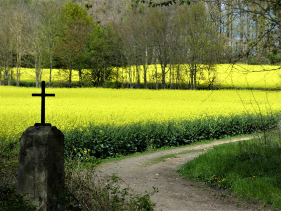 Croix Louis Aubert