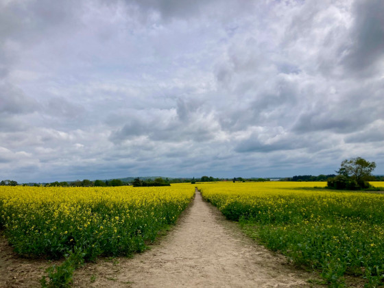 Travers&eacute;e des cultures