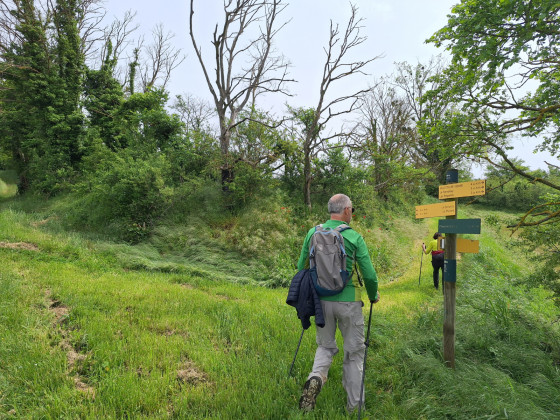 Carrefour Chemin des Vignes
