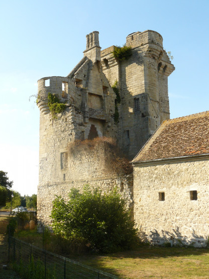 Crouy. Le donjon