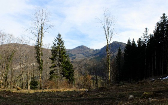 Crouzet-Migette - La montée au Vieux Château