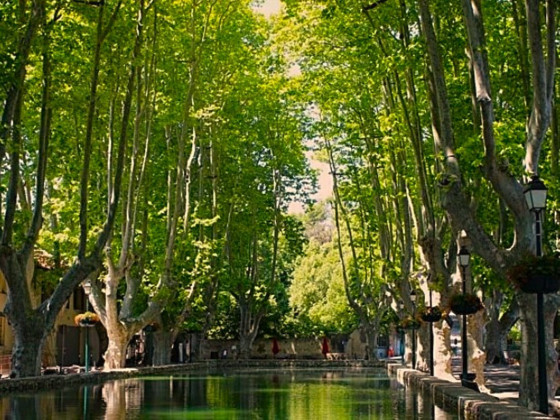 Cucuron. Le Bassin de l'Etang