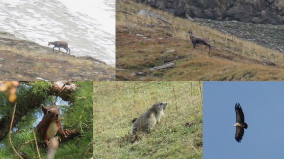 Rencontres d\'un jour