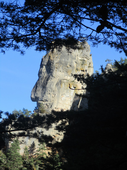 Curiosité naturelle
