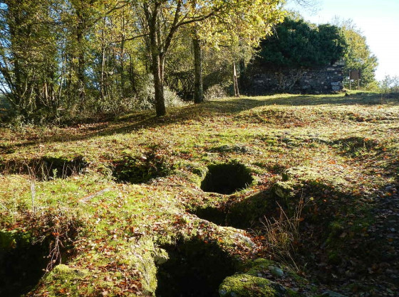 cuves de Sainte Juliane