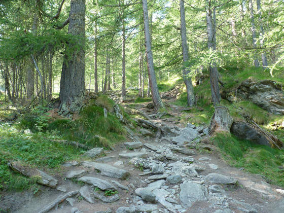 Dalles plates dans le sentier