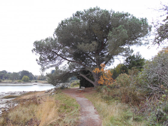 Dans de la ria d\'Etel