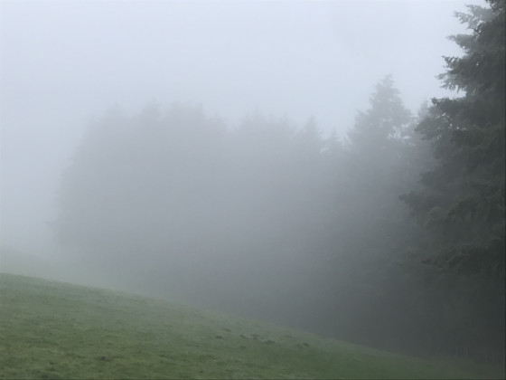 Dans la brume sur les hauteurs