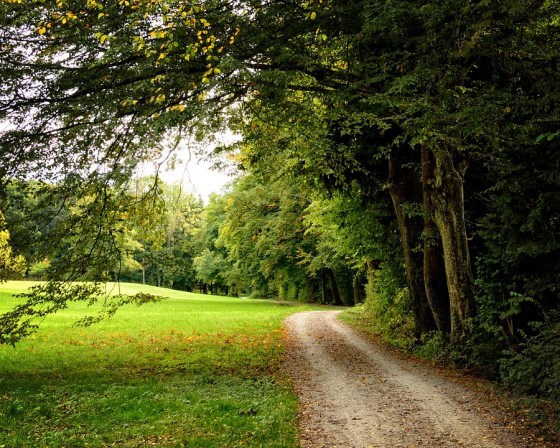 Dans la campagne Barbotannaise