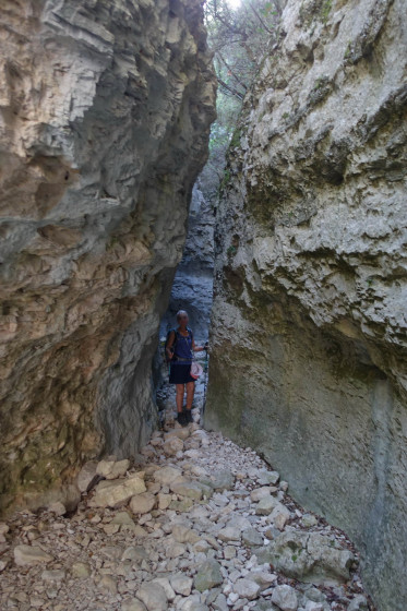 Dans la combe de Curnier