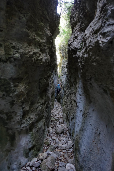 Dans la combe de Curnier