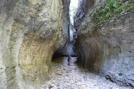 Dans la combe de Curnier
