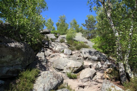 Dans la descente de la Roche au Four (sentier des 25 bosses)