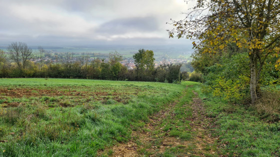Dans la descente vers Moivrons ( au fond ).