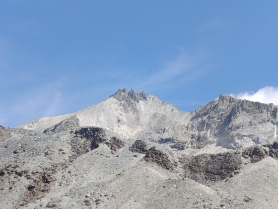 Dans la descente