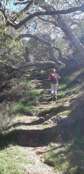 Dans la for&ecirc;t primaire