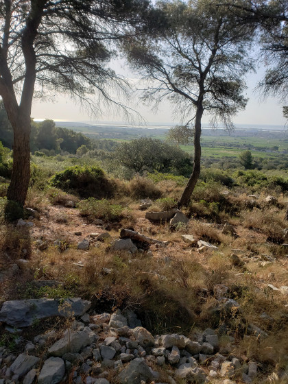 Dans la garrigue, au lointain, l'&eacute;tang de Thau.
