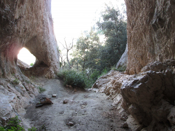 Dans la grotte