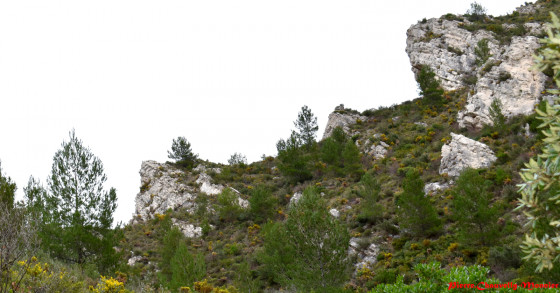 dans la monté