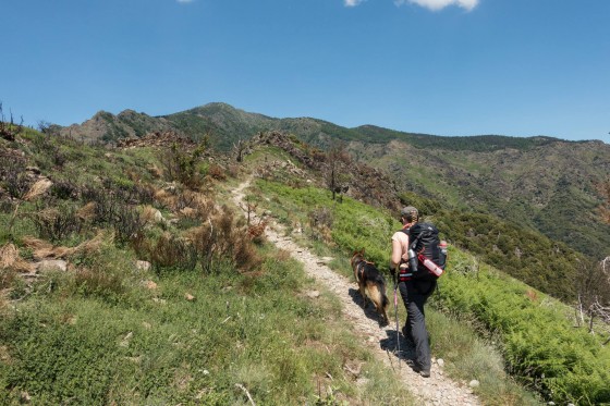 Dans la montée, aprés être sorti de la forêt