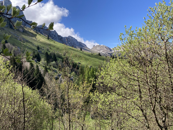 Dans la montée après la cabane de Roybon