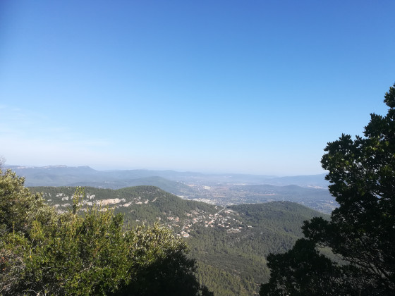 Dans la montée au Coudon