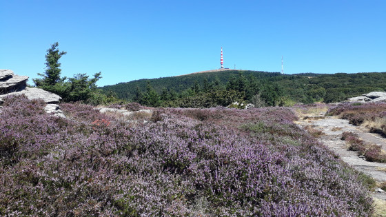 Dans la mont&eacute;e au Pic