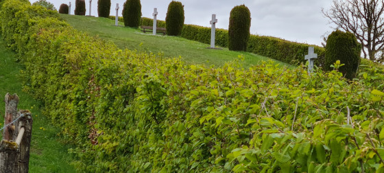Dans la mont&eacute;e de la c&ocirc;te de Virine