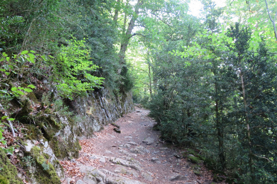 Dans la montée du Port de Salau
