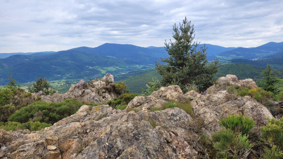 dans la montée