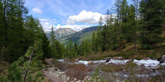 Dans la montée