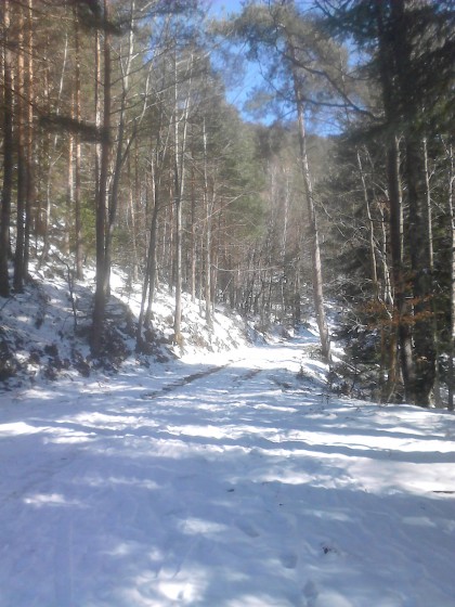 Dans la neige